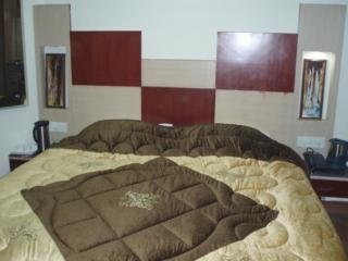Imagen de la habitación del Hotel Raunak Plaza. Foto 3
