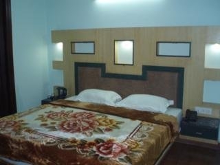 Imagen de la habitación del Hotel Raunak Plaza. Foto 6