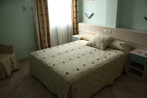 Imagen de la habitación del Hotel Rausan. Foto 10