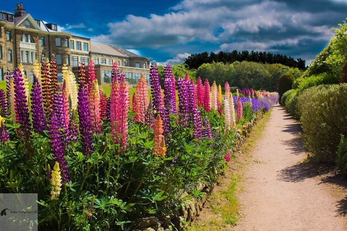 Imagen de los exteriores del Hotel Raven Hall Country House. Foto 14
