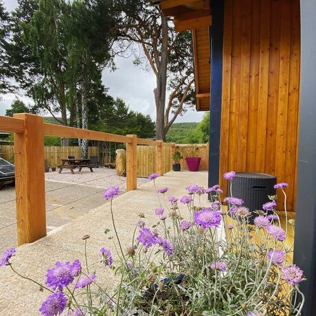 Imagen general del Hotel Ravenscraig Guest House. Foto 6