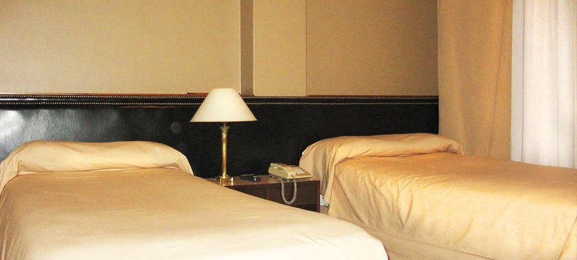 Imagen general del Hotel Rayentray Trelew. Foto 7