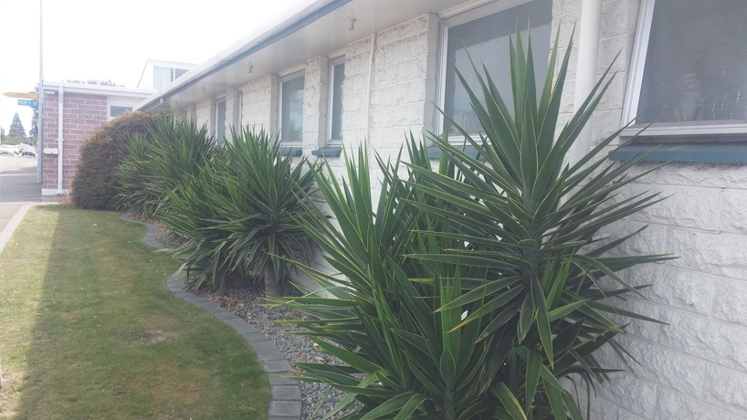 Imagen general del Hotel Raymar Motor Inn. Foto 3