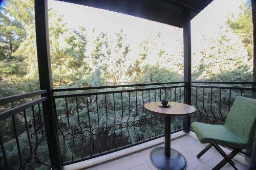 Imagen de la habitación del Hotel Raymars Muğla. Foto 11