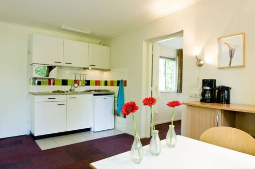 Imagen de la habitación del Hotel Rcn Vakantiepark De Noordster. Foto 10