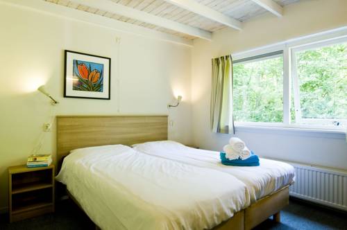 Imagen de la habitación del Hotel Rcn Vakantiepark De Noordster. Foto 11