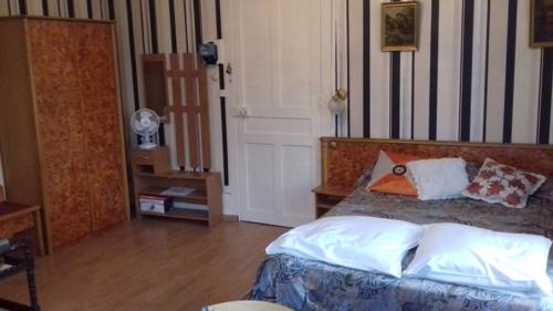 Imagen de la habitación del Hotel R&eacute;sidence Central H&ocirc;tel. Foto 15