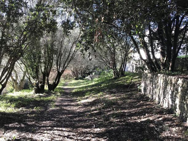 Imagen de los exteriores del Hotel Résidence Hôtelière A Trama. Foto 5