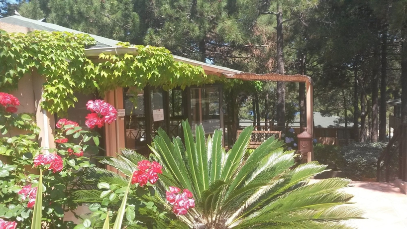 Imagen general del Hotel R&eacute;sidence Les Pins. Foto 4