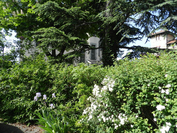 Imagen general del Hotel R&eacute;sidence Les Thermes C&ocirc;t&eacute; Chalet. Foto 3