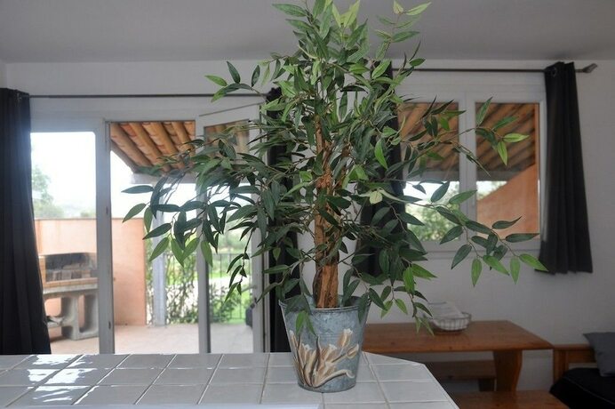 Imagen de la habitación del Hotel Résidence Maora Village. Foto 20