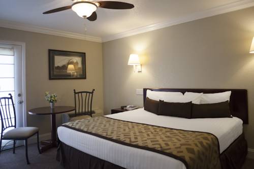 Imagen de la habitación del Hotel Reagan Resorts Inn. Foto 9