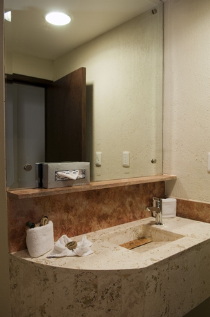 Imagen de la habitación del Hotel Real De Minas Poliforum. Foto 5