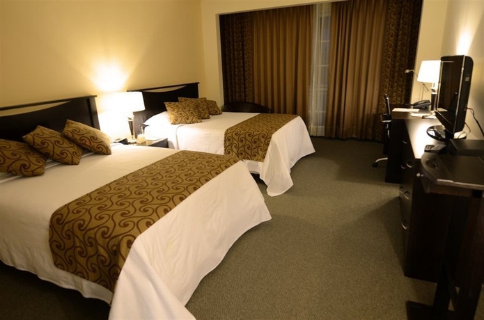 Imagen de la habitación del Hotel Real Del Bosque. Foto 7