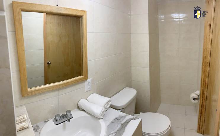 Imagen de la habitación del Hotel Real GDL. Foto 13
