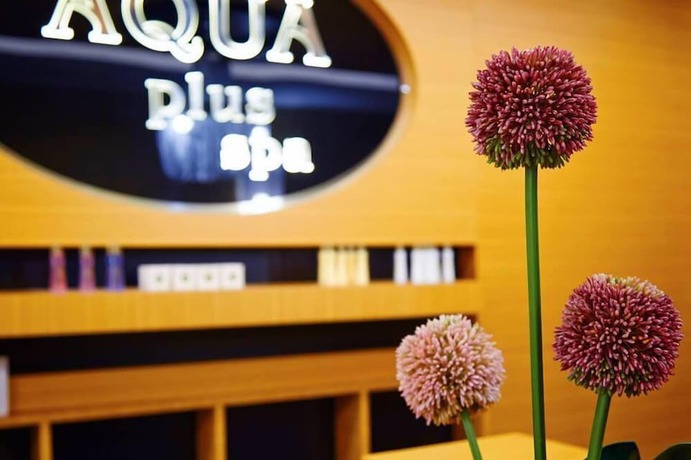 Imagen de los interiores del Hotel Real Konak. Foto 16