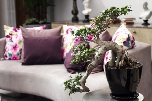 Imagen general del Hotel Real Maestranza. Foto 4