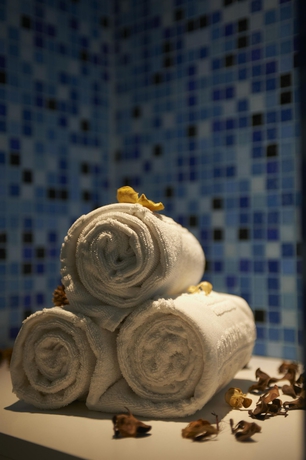 Imagen de la piscina del Hotel Real Palacio. Foto 14