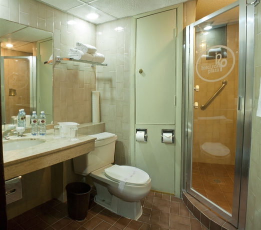 Imagen de la habitación del Hotel Real Plaza, San Luis Potosi. Foto 4
