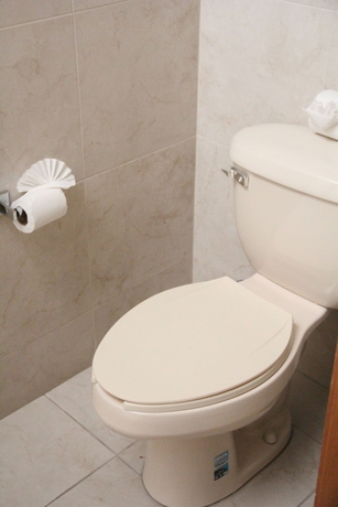 Imagen de la habitación del Hotel Real Zapopan. Foto 17