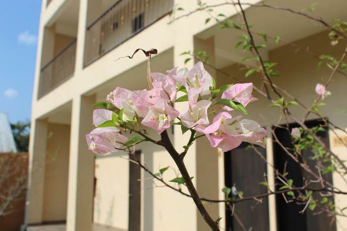 Imagen de los interiores del Hotel Real de Guadalupe. Foto 16
