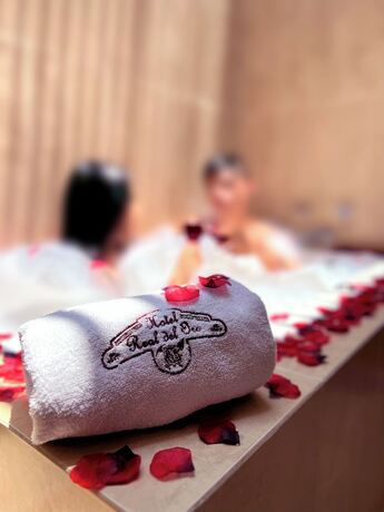 Imagen general del Hotel Real del Oro. Foto 6