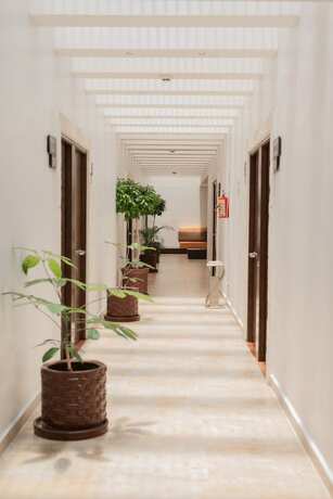 Imagen general del Hotel Real del Oro. Foto 8