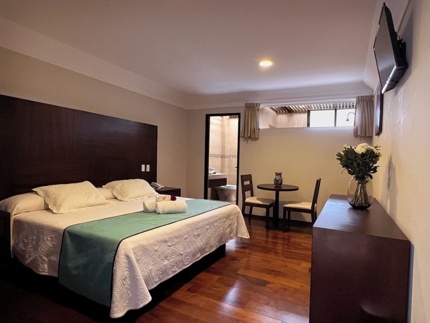 Imagen de la habitación del Hotel Real del Oro. Foto 16