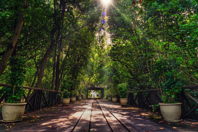 Imagen general del Hotel Rebak Island Resort & Marina. Foto 4