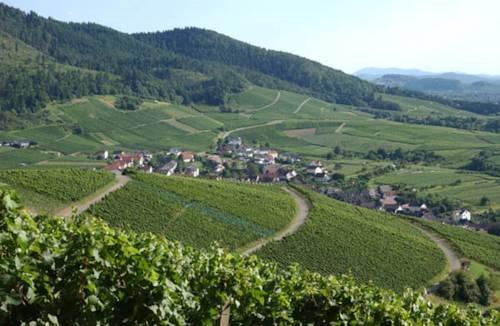 Imagen general del Hotel Rebenhof. Foto 10