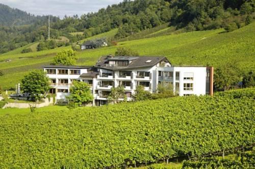 Imagen general del Hotel Rebenhof. Foto 14