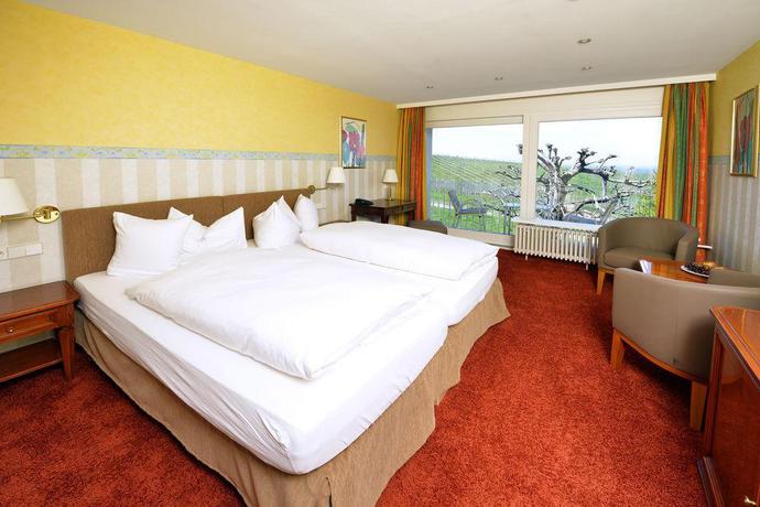 Imagen general del Hotel Rebenhof. Foto 16