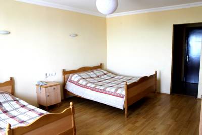 Imagen de la habitación del Hotel Rebi Gurjaani. Foto 4