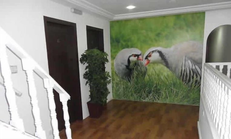 Imagen de los interiores del Hotel Recanto Das Perdizes. Foto 13