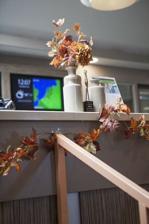 Imagen general del Hotel Recreatiepark De Boshoek. Foto 8