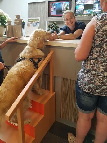 Imagen general del Hotel Recreatiepark De Boshoek. Foto 20