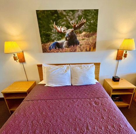 Imagen de la habitación del Hotel Red Bear Inn. Foto 13