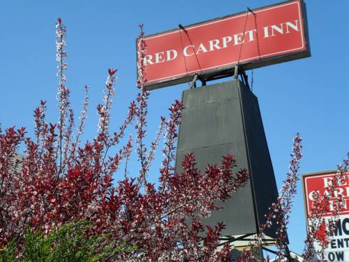 Imagen de la habitación del Hotel Red Carpet Inn Brooklawn. Foto 2