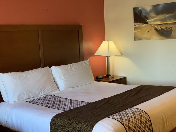 Imagen de la habitación del Hotel Red Carpet Inn Medford. Foto 8