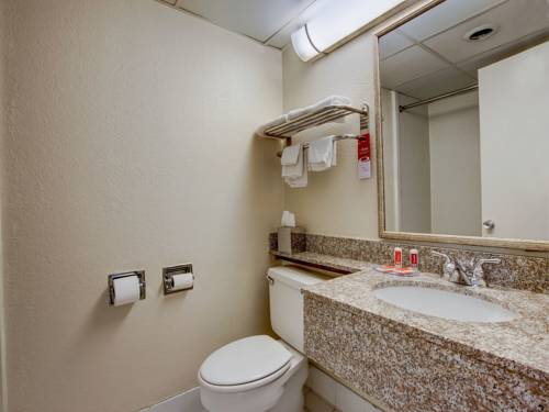 Imagen de la habitación del Hotel Red Carpet Inn, Whippany. Foto 7