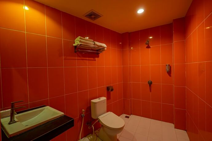 Imagen general del Hotel Red Chilies. Foto 18