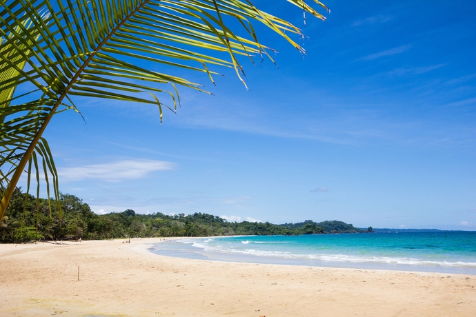 Imagen de los exteriores del Hotel Red Frog Beach Island Resort. Foto 5