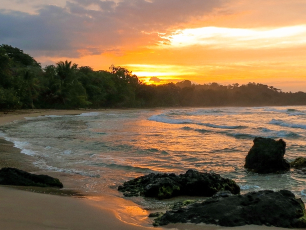 Imagen de los exteriores del Hotel Red Frog Beach Island Resort. Foto 7