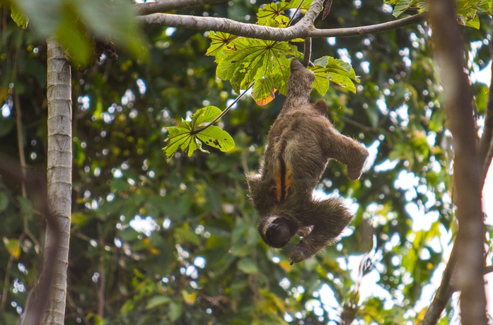 Imagen de los exteriores del Hotel Red Frog Beach Island Resort. Foto 15