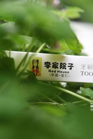 Imagen de la habitación del Hotel Red House. Foto 9