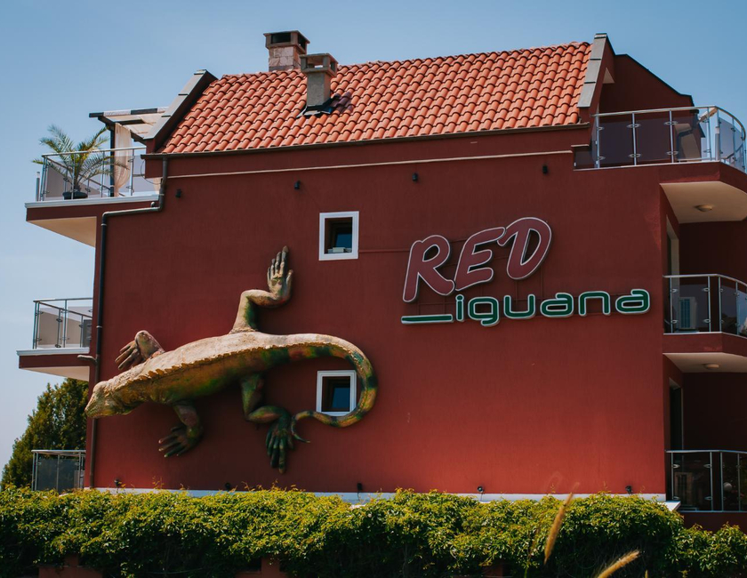 Imagen general del Hotel Red Iguana. Foto 2