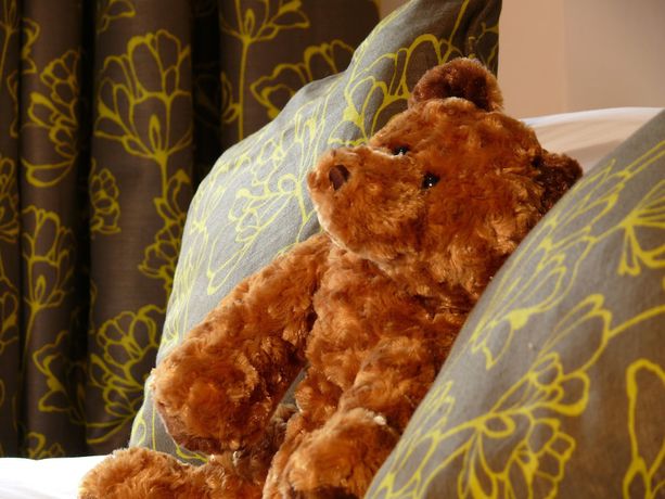 Imagen de la habitación del Hotel Red Lion and Manor House. Foto 15