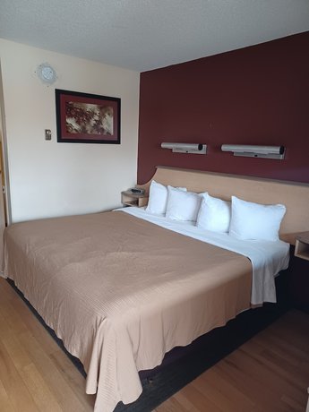 Imagen de la habitación del Hotel Red Oak Inn Detroit Metro Airport - Belleville. Foto 9