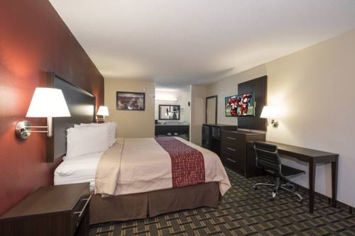 Imagen de la habitación del Hotel Red Roof Inn Acworth - Emerson/ Lakepoint South. Foto 2
