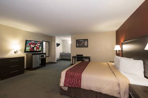 Imagen de la habitación del Hotel Red Roof Inn Acworth - Emerson/ Lakepoint South. Foto 4